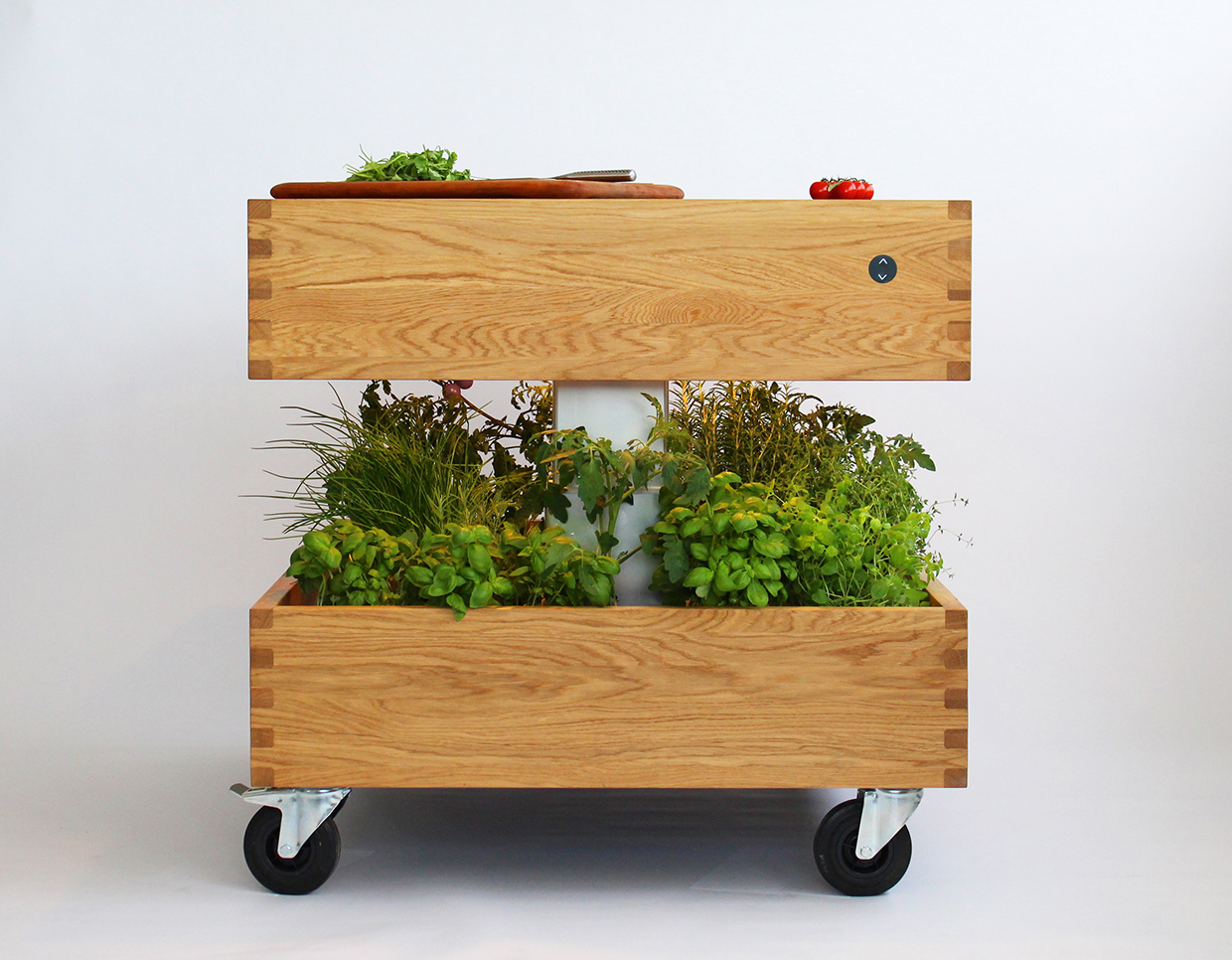 力纳克:种植箱绿色厨房