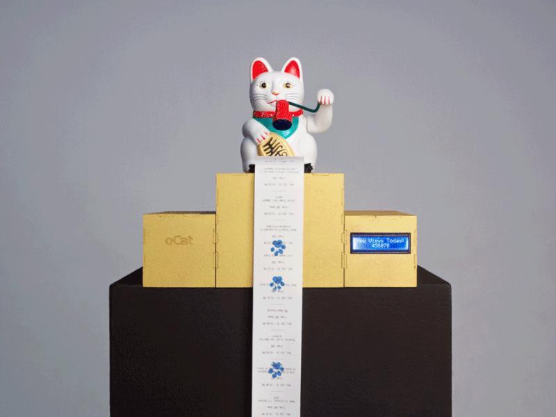 新闻,干扰器,萌猫,敲响,警钟