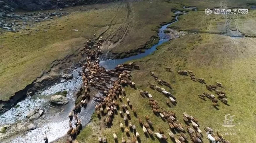 这是一次奇妙的,风味之旅;山海之间,偶然落地生根;成就万千肴变,化作