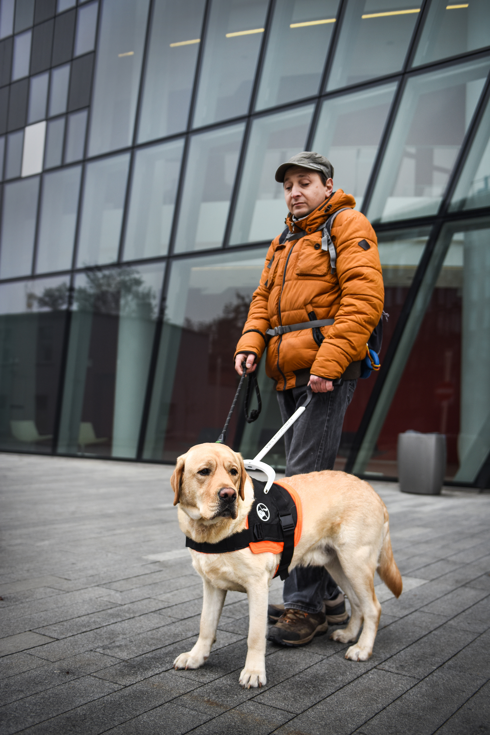 guidog harness 给导盲犬更加舒适的工作条件,更好的帮助残疾人