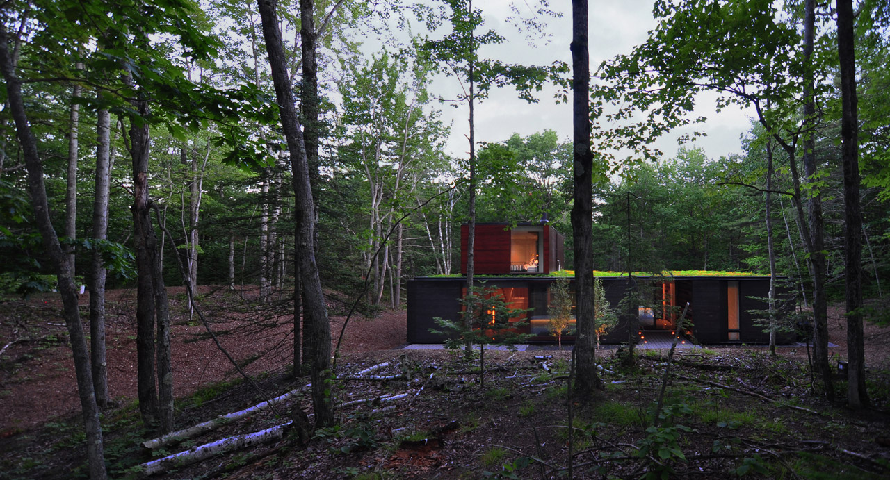 森林,丛林小屋,小木屋