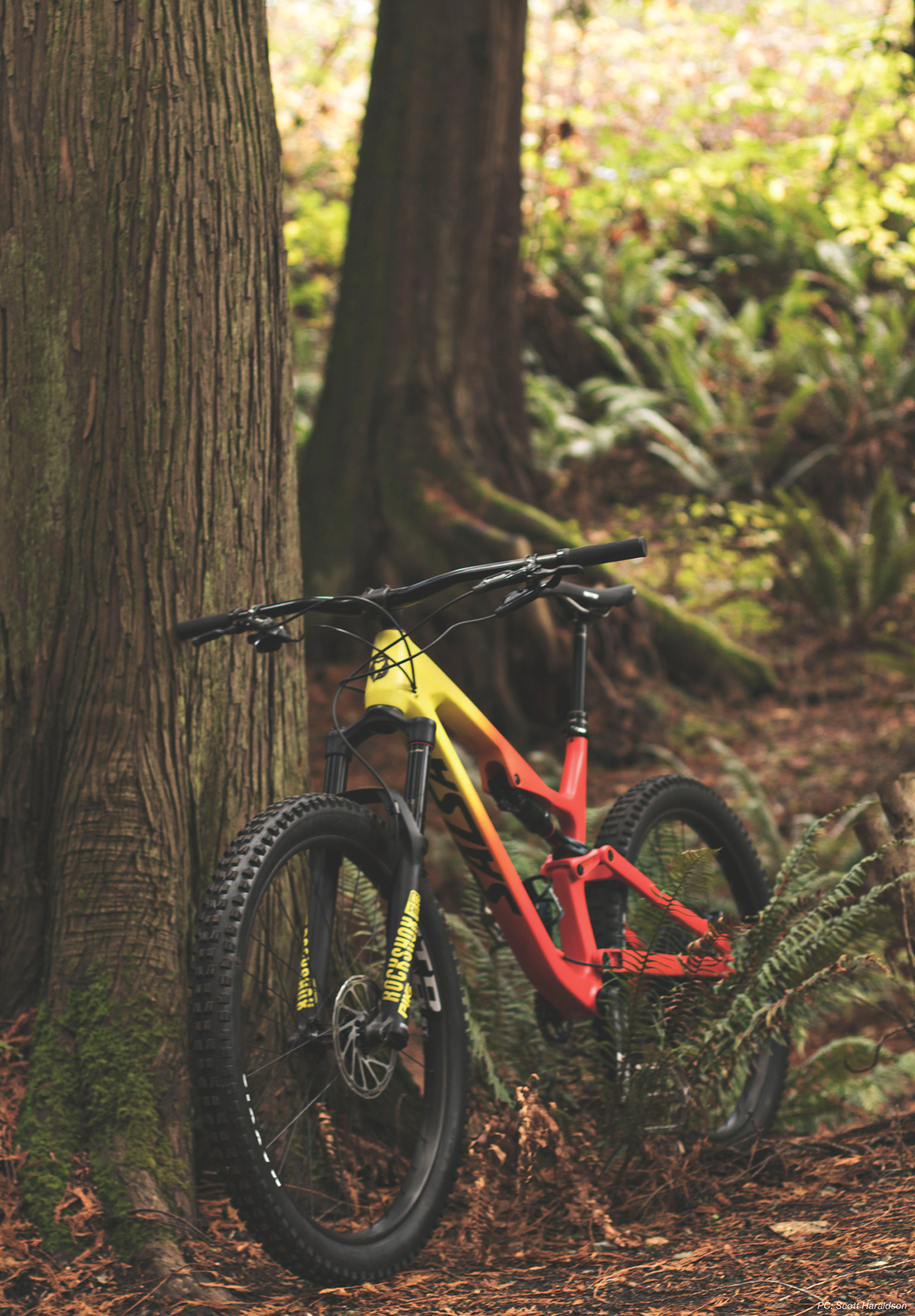 rustler carbon,山地,andrew cottrell,户外,自行车,salsa cycles